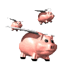 :pigs: